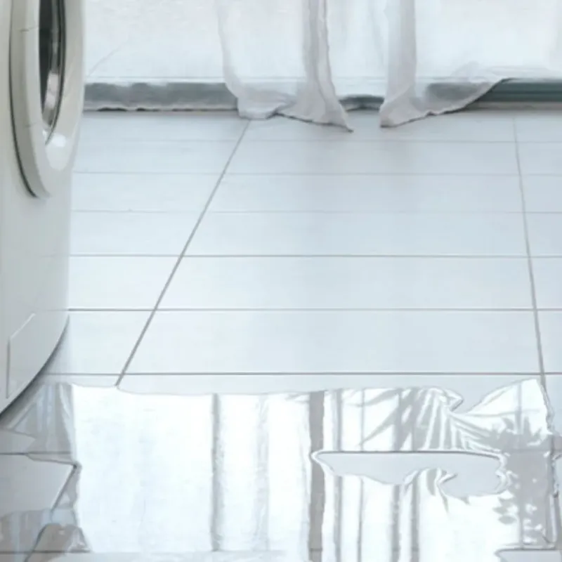 Appliance Leak Cleanup in Abernathy, TX
