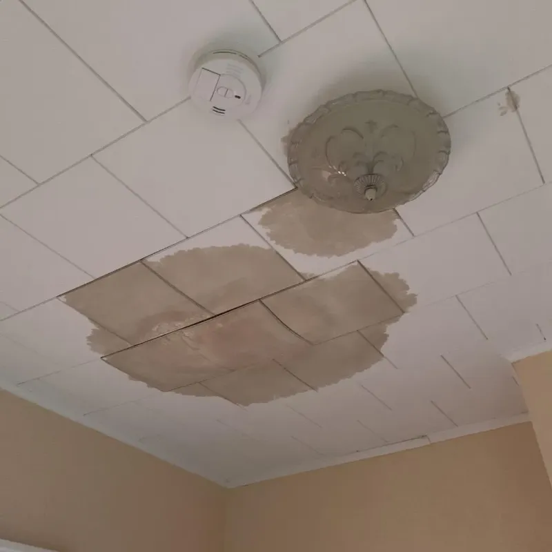 Ceiling Water Damage Repair in Abernathy, TX