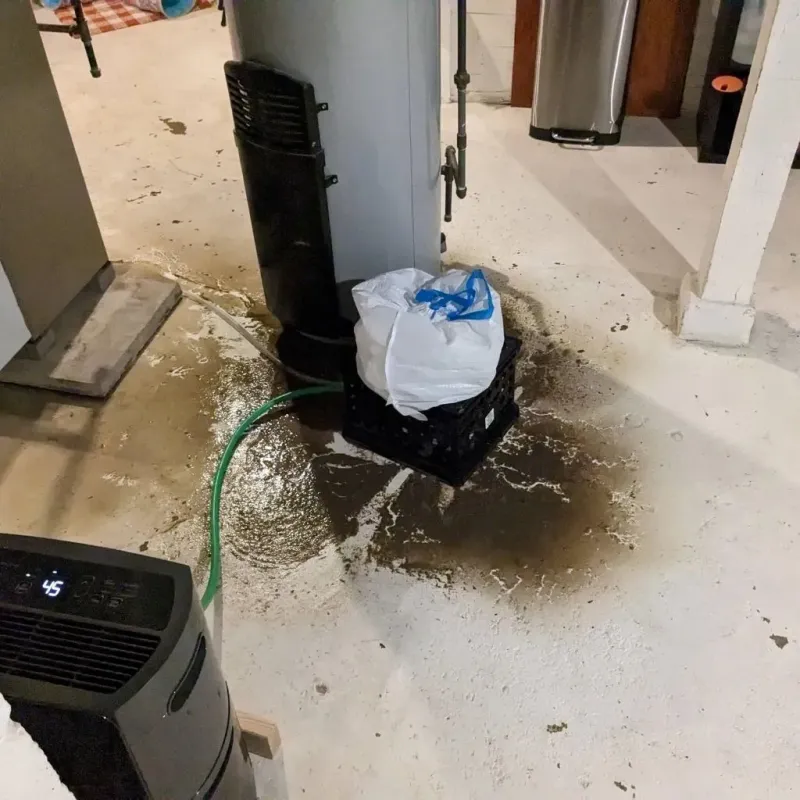Sewage Backup Cleanup Service in Abernathy, TX